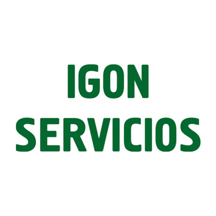 IGON SERVICIOS Logo
