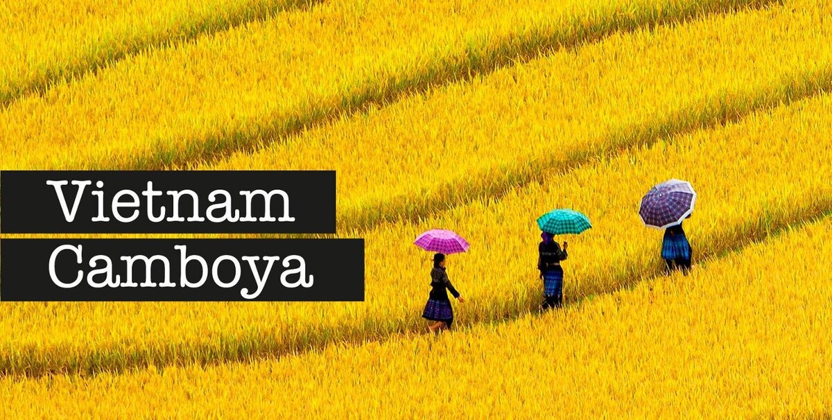 Images JUST KOLOUR SL