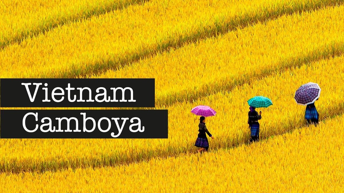 Images JUST KOLOUR SL