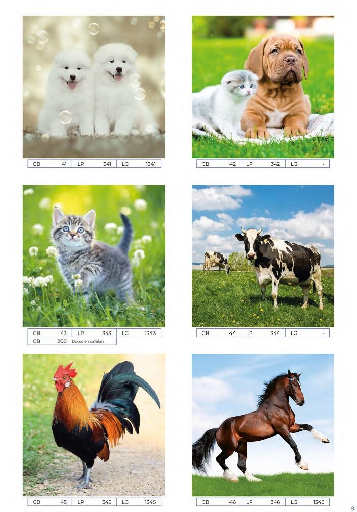 Images Gráficas Kalendex
