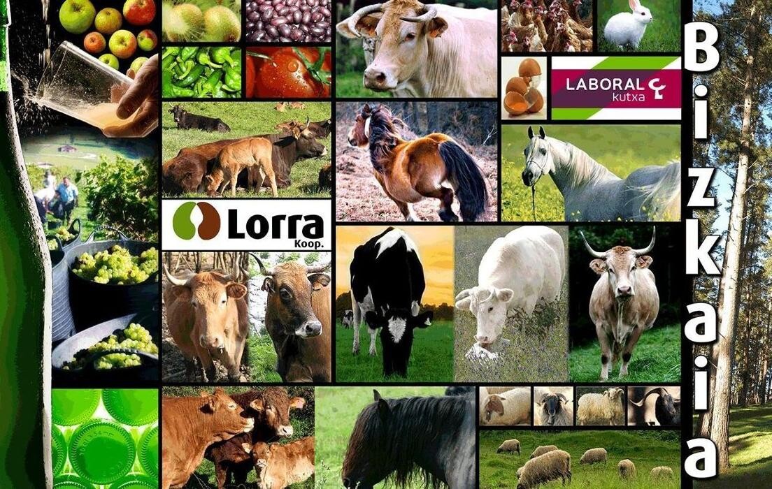 Images Lorra S. Coop.