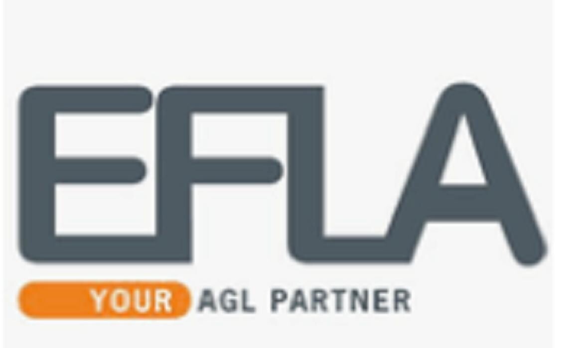 Efla Oy Logo