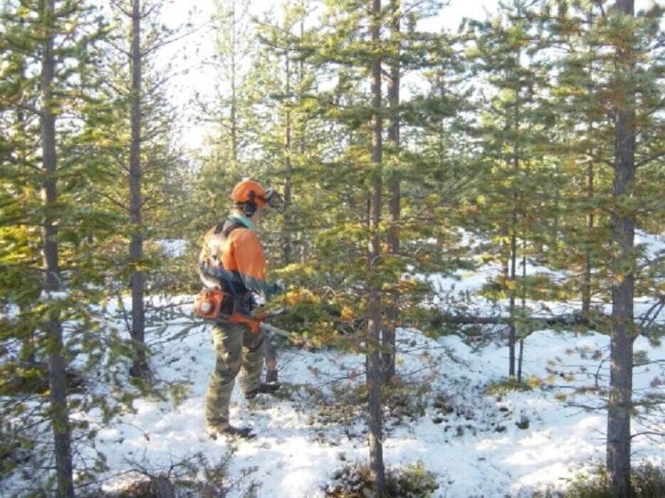 Images Inarin Yhteismetsän toimisto