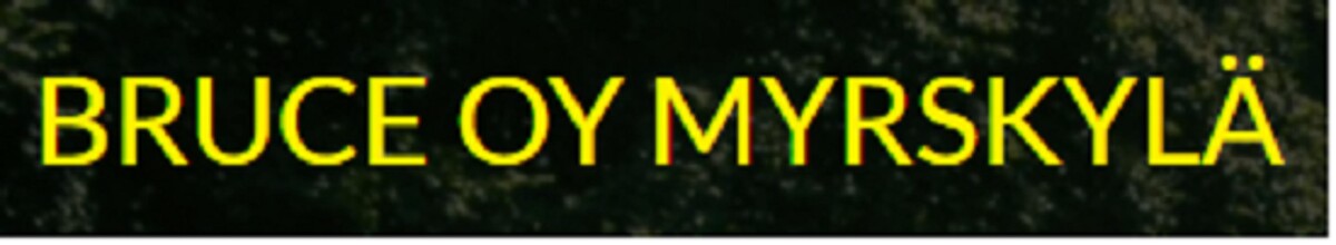 Taksi Bruce Oy Myrskylä Logo