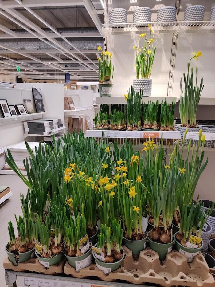 Images IKEA Espoo