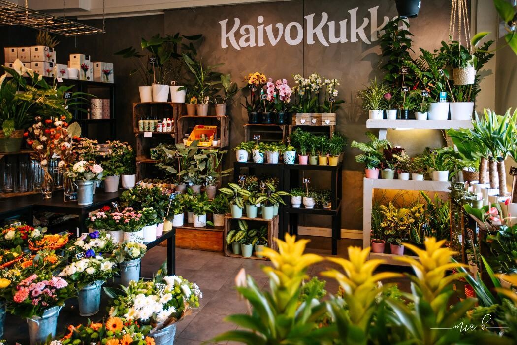 Images Kaivokukka Loviisa