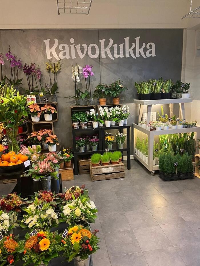 Images Kaivokukka Loviisa