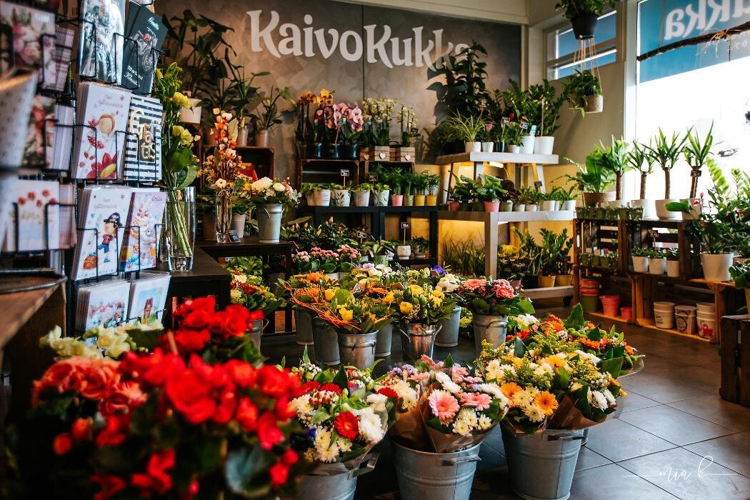 Images Kaivokukka Loviisa