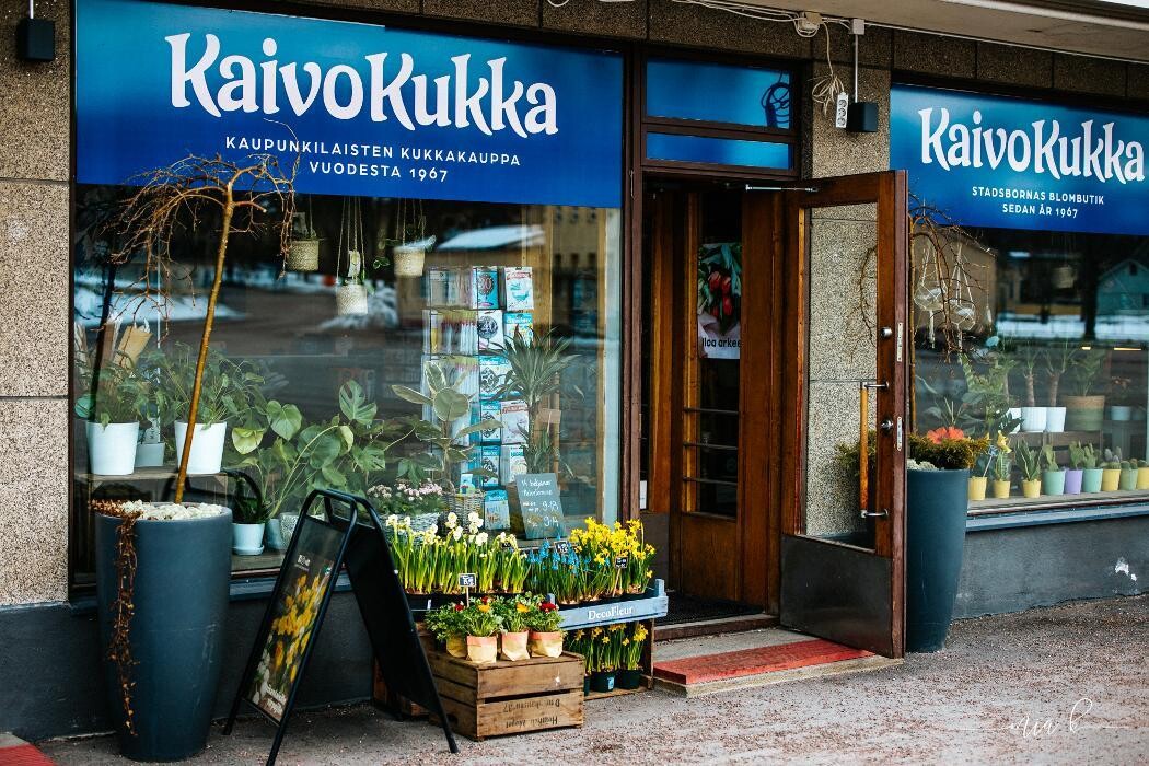 Images Kaivokukka Loviisa