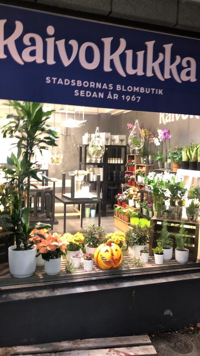 Images Kaivokukka Loviisa