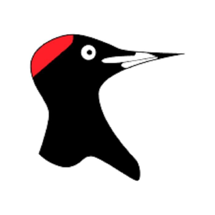 Biofire Oy Logo