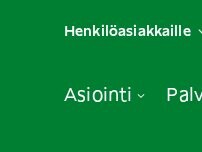 Website Screenshot Hammas Mehiläinen Hammaslääkärit Lahti