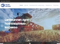 Website Screenshot Velho Motors