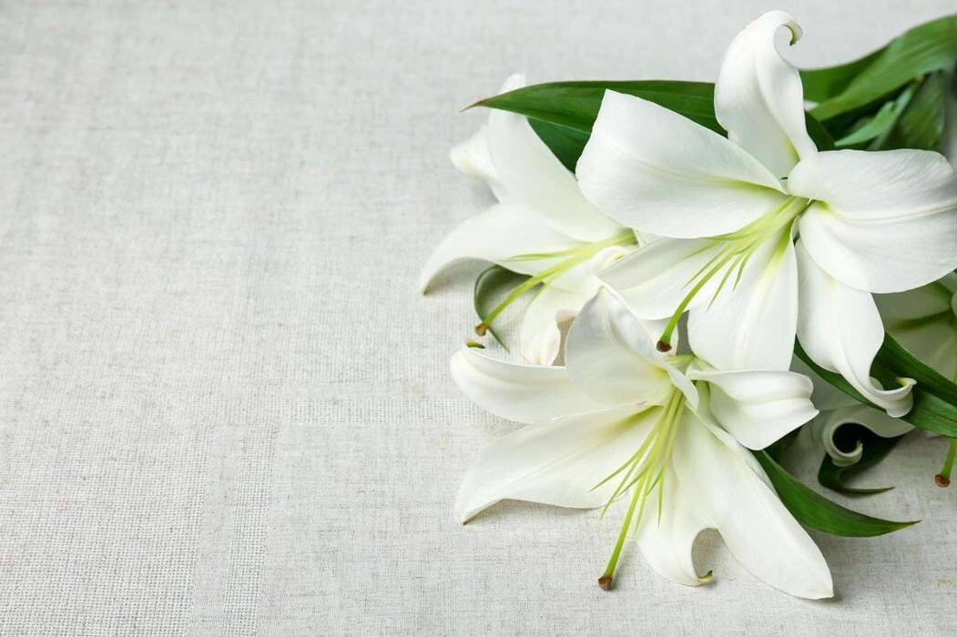 Images Jyväskylän Hautauspalvelu Oy