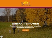 Website Screenshot Sansol