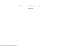 Website Screenshot Alko Muurame