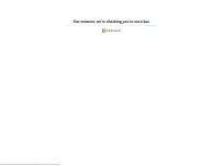 Website Screenshot Alko Somero