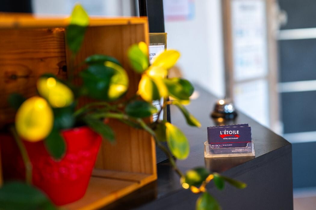 Images Hôtel L'Etoile Aéroport - A61
