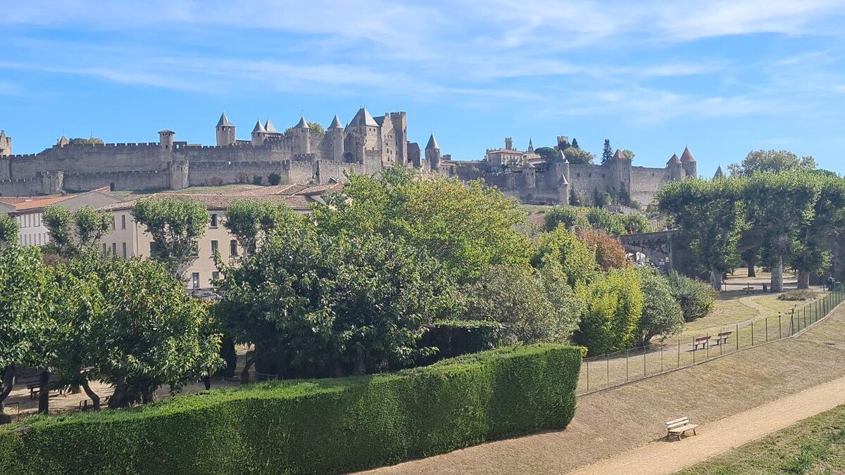 Images Hôtel L'Etoile Aéroport - A61