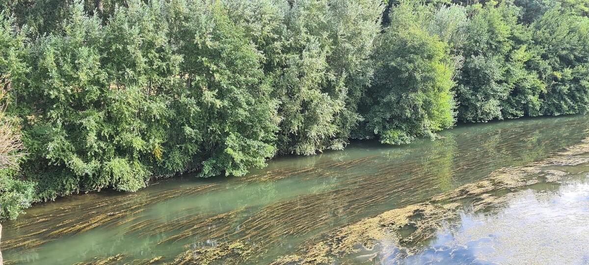 Images Hôtel L'Etoile Aéroport - A61