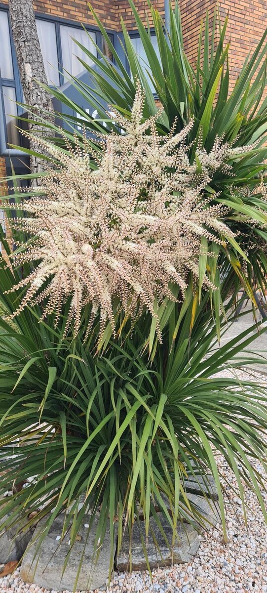 Images Hôtel L'Etoile Aéroport - A61