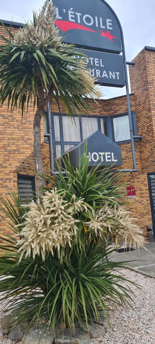 Images Hôtel L'Etoile Aéroport - A61