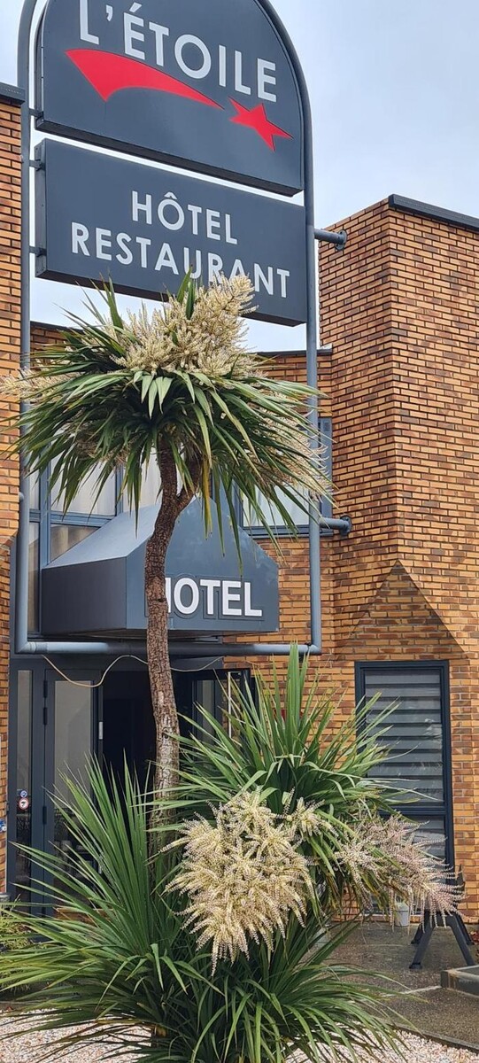 Images Hôtel L'Etoile Aéroport - A61