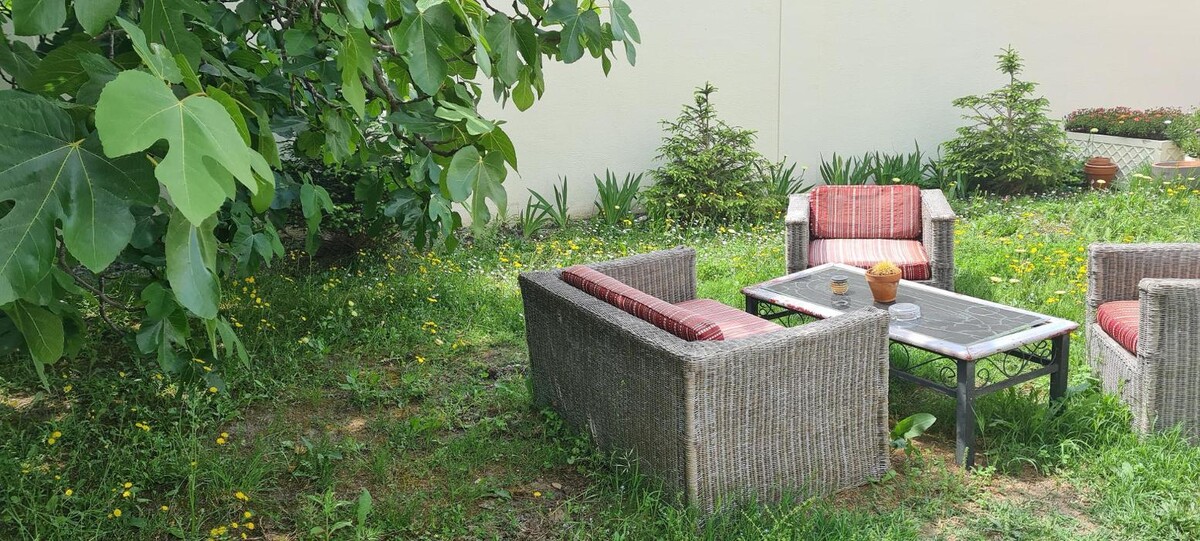 Images Hôtel L'Etoile Aéroport - A61