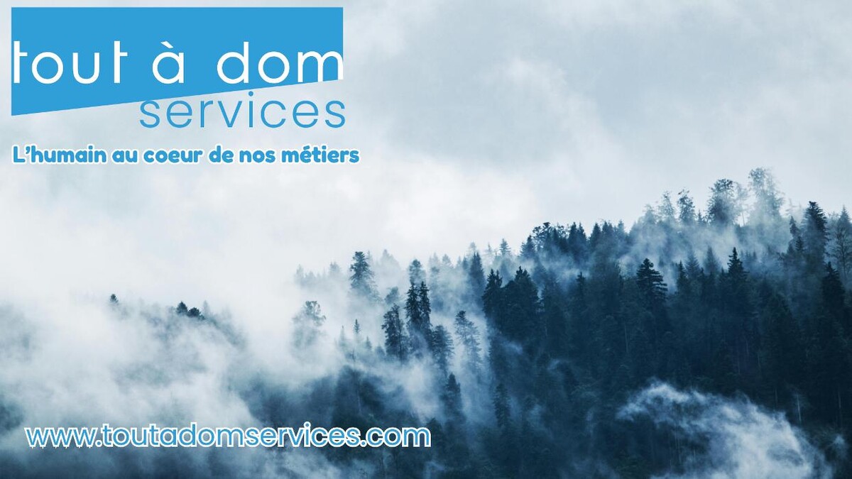 Images Tout à Dom Services Orange