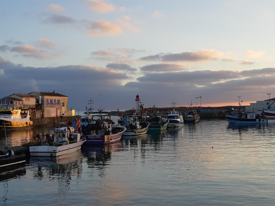 Images Pharmacie de La Cotinière Totum