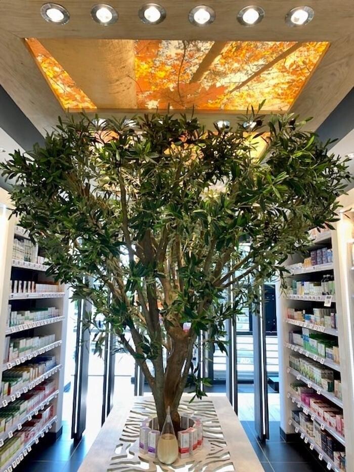 Images Pharmacie du Faron Totum