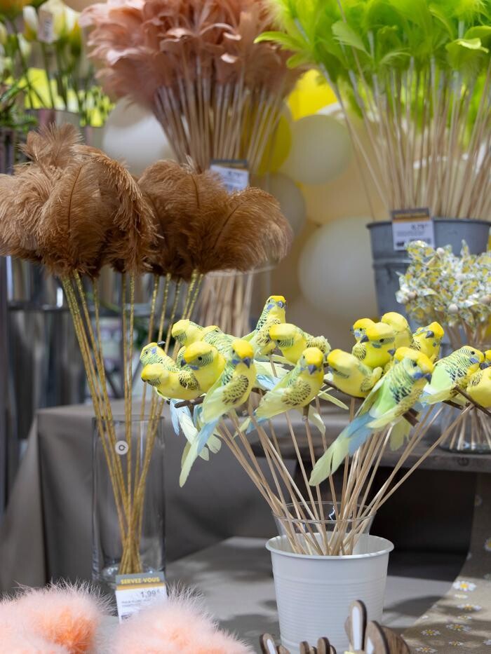 Images Fêter & Recevoir Montpellier