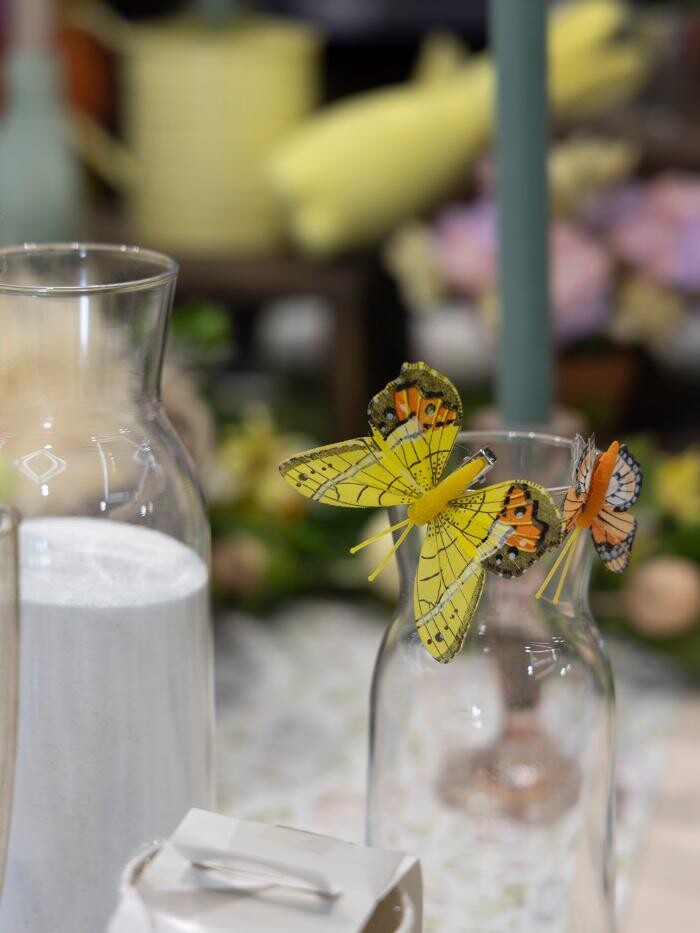 Images Fêter & Recevoir Montpellier