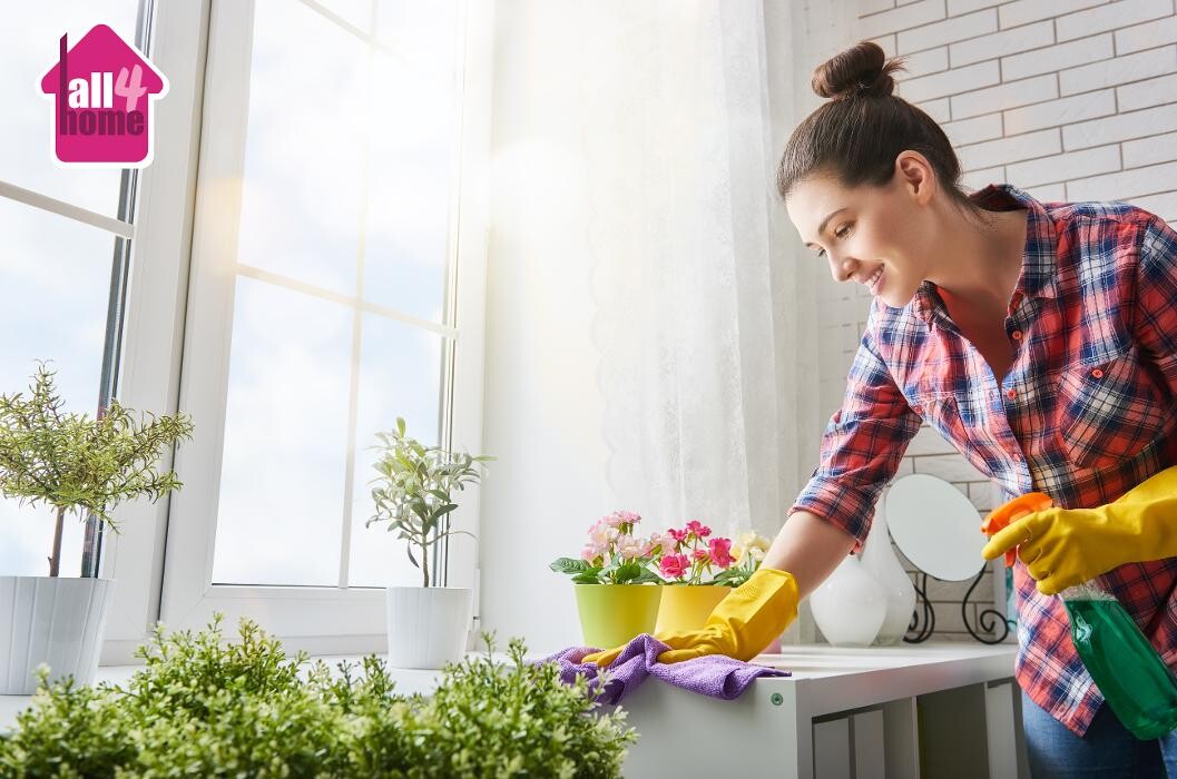 Images All4home Saverne