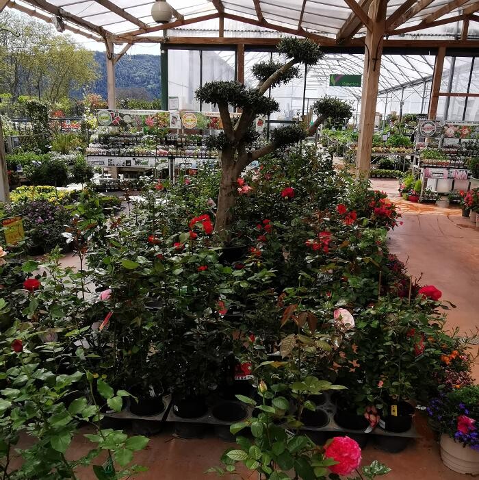 Images Villaverde Rocchietta Jardinerie Animalerie Le Beausset