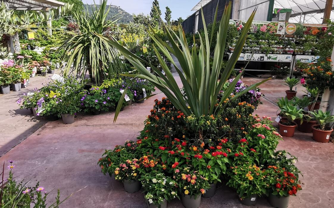 Images Villaverde Rocchietta Jardinerie Animalerie Le Beausset