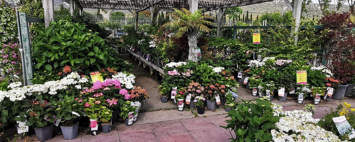 Images Villaverde Rocchietta Jardinerie Animalerie Le Beausset