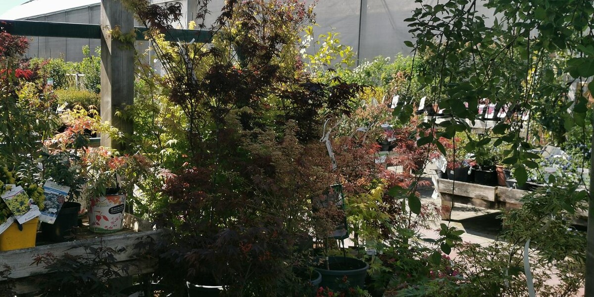 Images Villaverde Rocchietta Jardinerie Animalerie Le Beausset