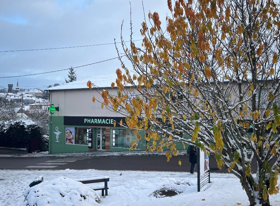 Images Pharmacie Wellpharma de la Maladière