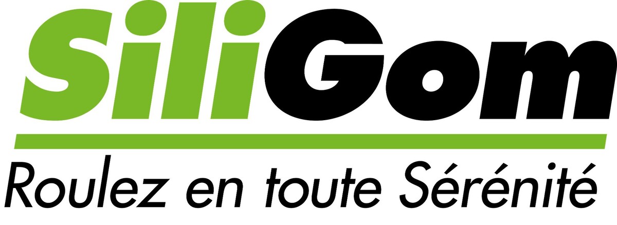 SILIGOM - AK AUTO SERVICE Logo