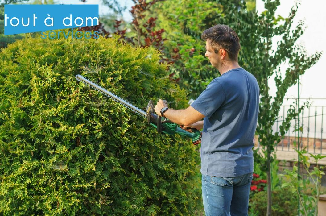 Images Tout à Dom Services Pays Basque