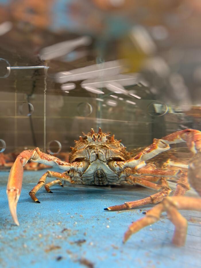 Images Intermarché SUPER Concarneau