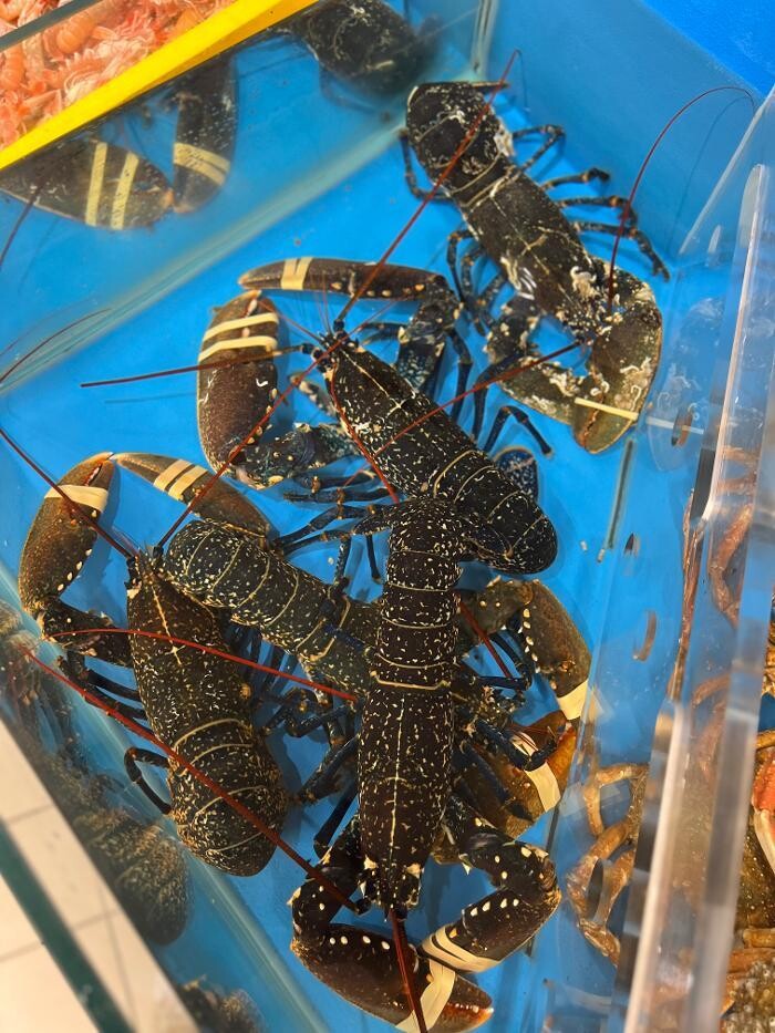 Images Intermarché SUPER Concarneau