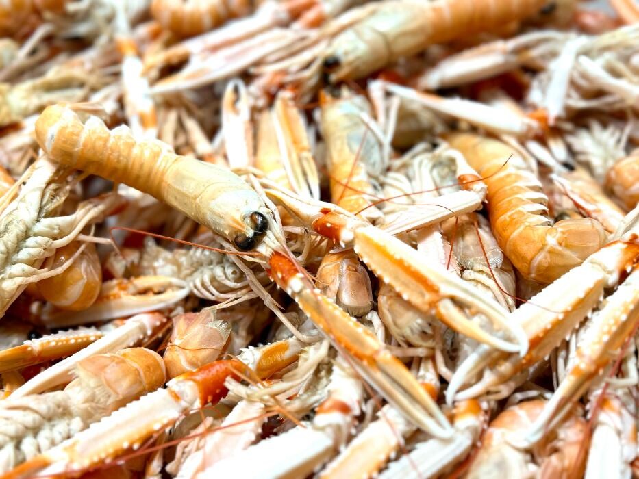 Images Intermarché SUPER Ramonville Saint-Agne