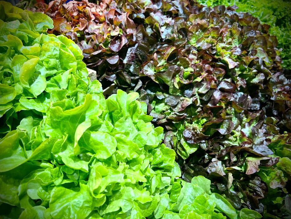 Images Intermarché SUPER Ramonville Saint-Agne