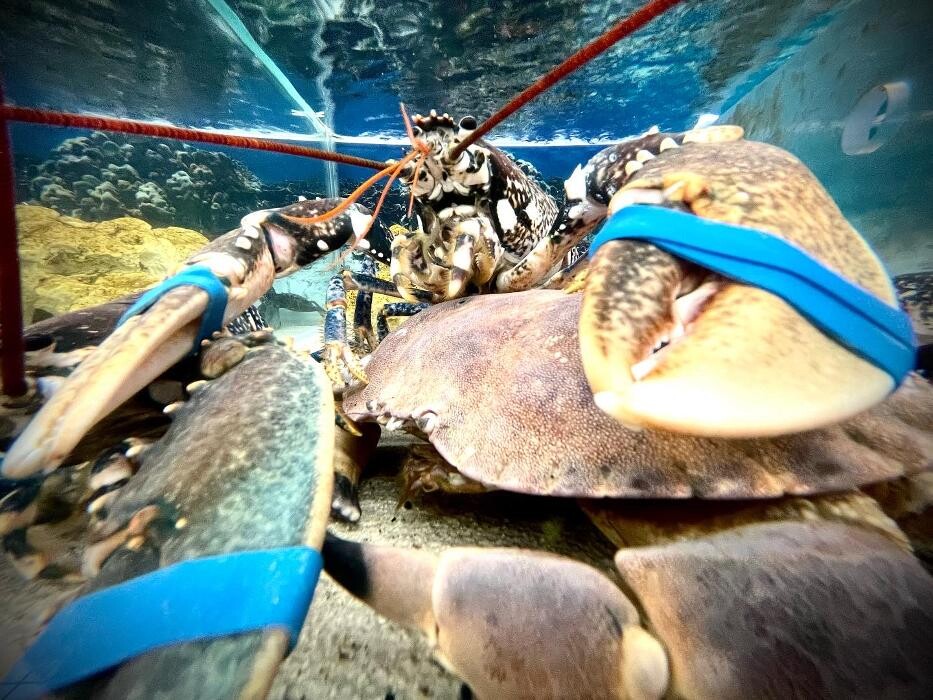 Images Intermarché SUPER Ramonville Saint-Agne