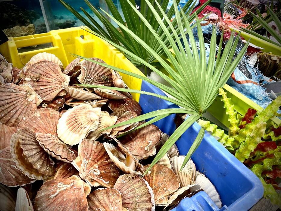 Images Intermarché SUPER Ramonville Saint-Agne
