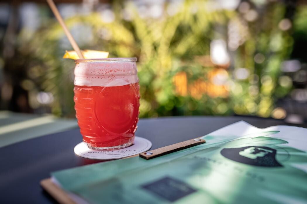 Images Monkey Place La Roche-sur-Yon