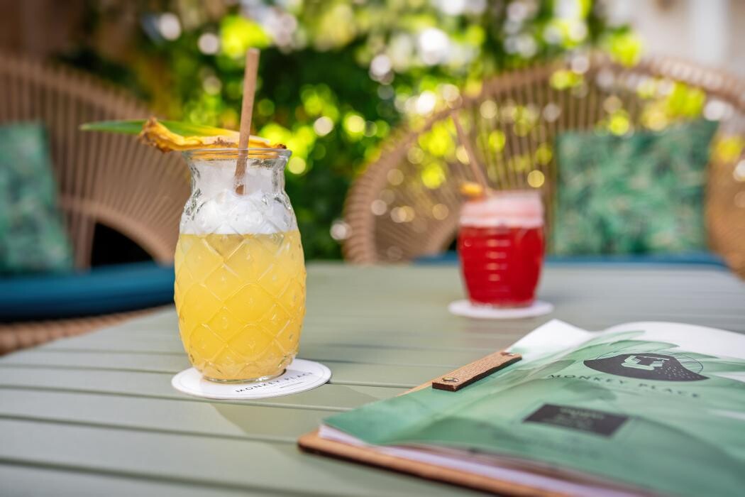 Images Monkey Place La Roche-sur-Yon