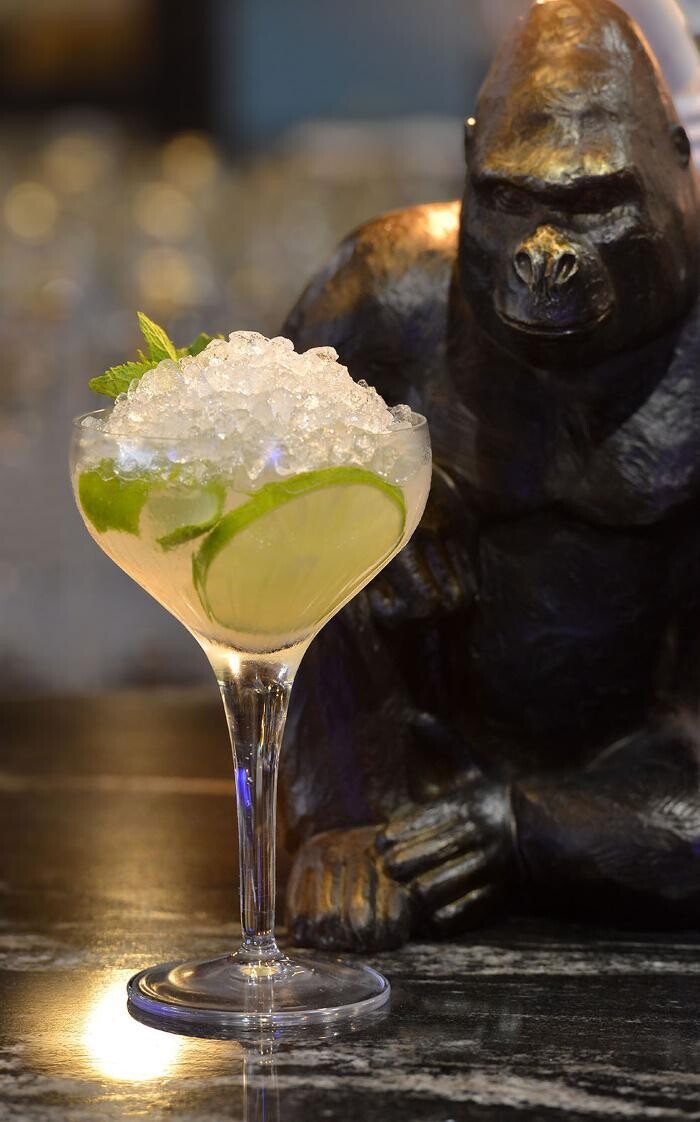 Images Monkey Place La Roche-sur-Yon